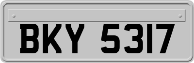 BKY5317