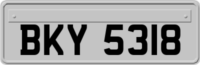 BKY5318