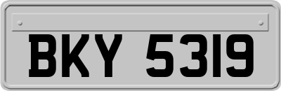 BKY5319