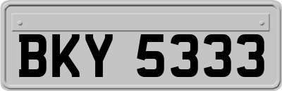 BKY5333