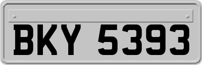 BKY5393