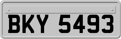 BKY5493