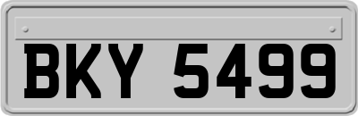 BKY5499