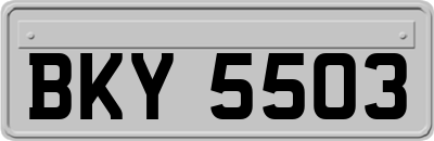 BKY5503