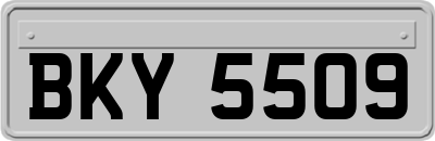 BKY5509
