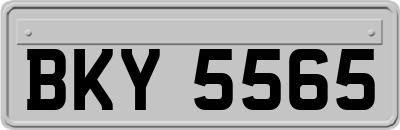 BKY5565