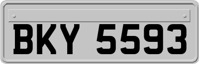 BKY5593