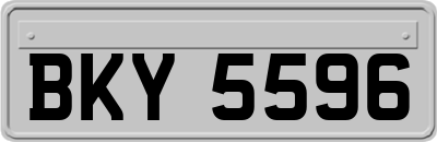 BKY5596