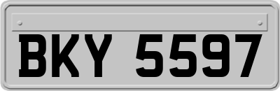 BKY5597