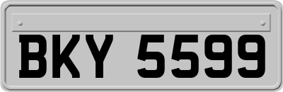 BKY5599