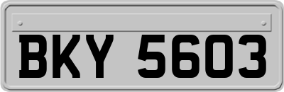 BKY5603
