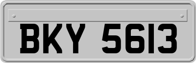 BKY5613