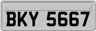 BKY5667