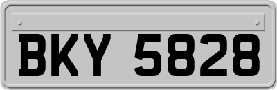 BKY5828