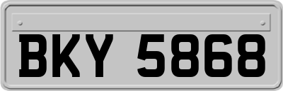 BKY5868