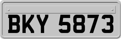 BKY5873