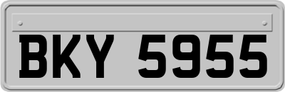 BKY5955