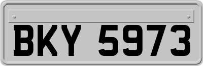 BKY5973