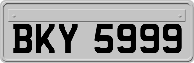 BKY5999
