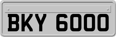 BKY6000