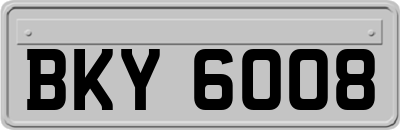 BKY6008