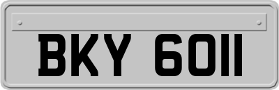 BKY6011