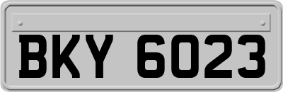 BKY6023