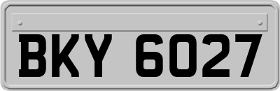 BKY6027