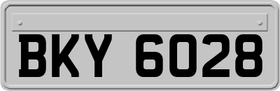 BKY6028