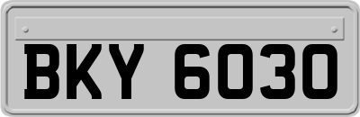 BKY6030