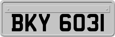 BKY6031