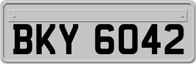 BKY6042