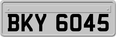 BKY6045