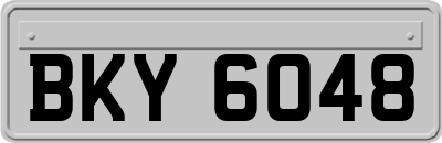 BKY6048