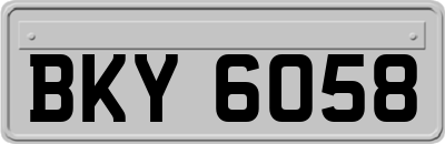 BKY6058