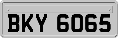 BKY6065