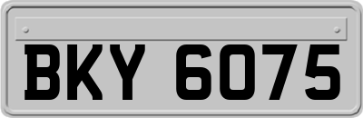 BKY6075