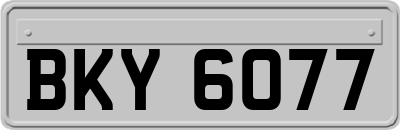 BKY6077