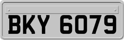 BKY6079