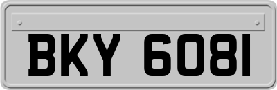 BKY6081