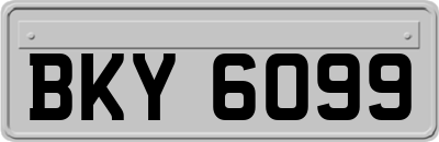 BKY6099