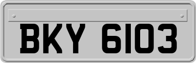 BKY6103