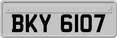 BKY6107