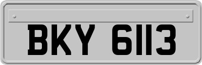BKY6113