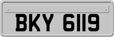 BKY6119
