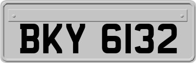BKY6132