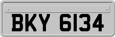 BKY6134