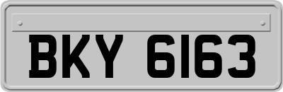 BKY6163