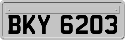 BKY6203