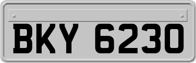BKY6230